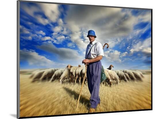 Photographic Print, , large