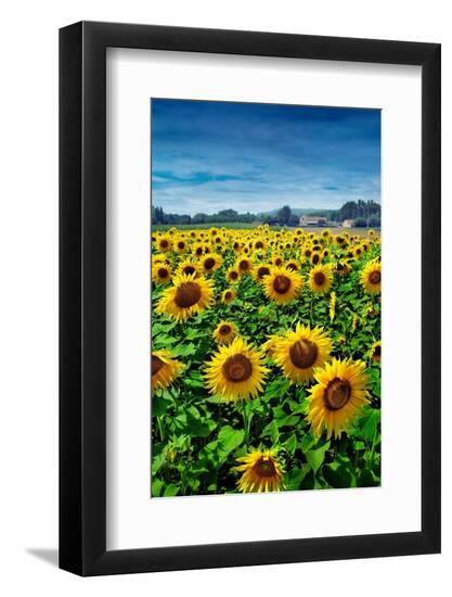 Premium Photographic Print, , large
