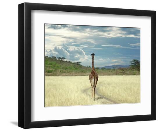 Photographic Print, , large