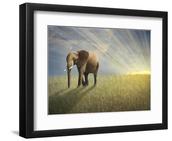Premium Photographic Print, , large