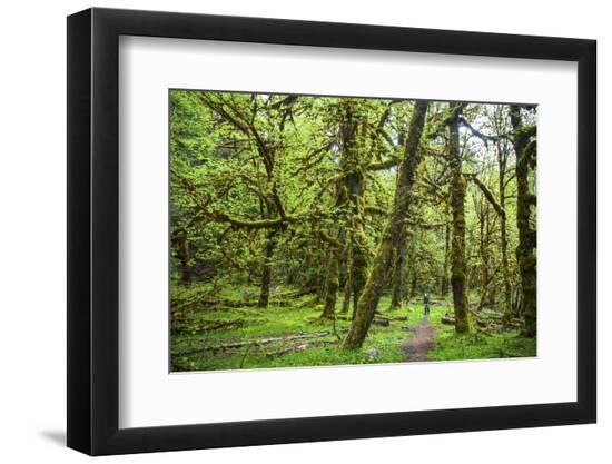 Premium Photographic Print, , large