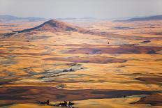 Male Runner Runs Along A Gravel Trail In Front Of Bright Red Barn In UI Arboretum In Moscow, Idaho-Ben Herndon-Photographic Print