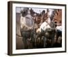 Ben-Hur-null-Framed Photo