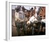 Ben-Hur-null-Framed Photo