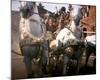 Ben-Hur-null-Mounted Photo