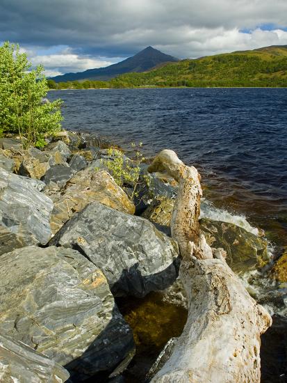 Premium Photographic Print, , large