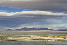 View of grassland habitat with stormclouds, Ol Pejeta Conservancy, Laikipia District, Kenya-Ben Sadd-Photographic Print