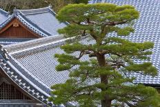 A Telephoto View Shows a Traditional Wooden Gate Roofed with Kawara Ceramic Tiles at Komyo-Ji-Ben Simmons-Stretched Canvas