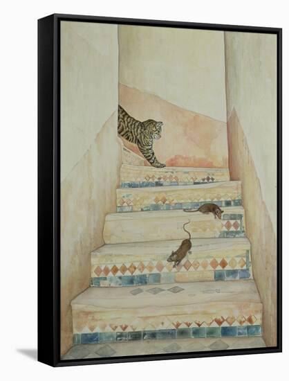 Ben Youssef's Staircase-Ditz-Framed Stretched Canvas