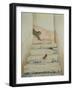 Ben Youssef's Staircase-Ditz-Framed Giclee Print