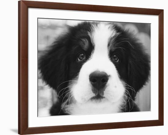 Ben-Kim Levin-Framed Photographic Print