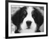 Ben-Kim Levin-Framed Photographic Print