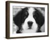 Ben-Kim Levin-Framed Photographic Print