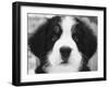 Ben-Kim Levin-Framed Photographic Print