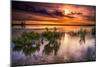 Benbrook Lake Sunrise-Dean Fikar-Mounted Photographic Print