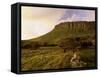 Benbulben, Approx 500M, at Sunset, Near Sligo, County Sligo, Connacht, Republic of Ireland, Europe-Patrick Dieudonne-Framed Stretched Canvas