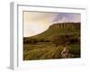 Benbulben, Approx 500M, at Sunset, Near Sligo, County Sligo, Connacht, Republic of Ireland, Europe-Patrick Dieudonne-Framed Photographic Print