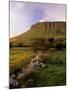 Benbulben at Sunset, Approximately 500M, Near Sligo, County Sligo, Connacht, Republic of Ireland-Patrick Dieudonne-Mounted Photographic Print