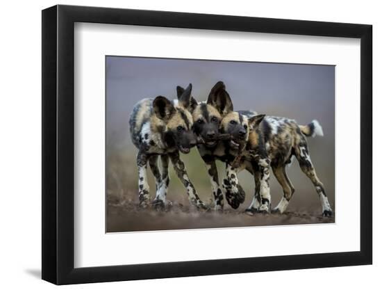 Photographic Print, , large