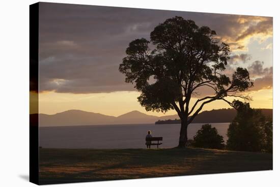 Bench and Tree Overlooking Lake Taupo, Taupo, North Island, New Zealand, Pacific-Stuart-Stretched Canvas