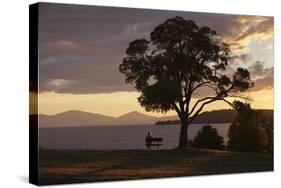 Bench and Tree Overlooking Lake Taupo, Taupo, North Island, New Zealand, Pacific-Stuart-Stretched Canvas