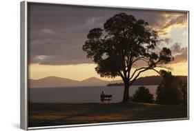 Bench and Tree Overlooking Lake Taupo, Taupo, North Island, New Zealand, Pacific-Stuart-Framed Photographic Print