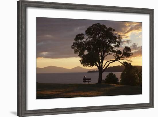 Bench and Tree Overlooking Lake Taupo, Taupo, North Island, New Zealand, Pacific-Stuart-Framed Photographic Print