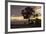 Bench and Tree Overlooking Lake Taupo, Taupo, North Island, New Zealand, Pacific-Stuart-Framed Photographic Print