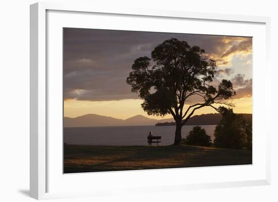 Bench and Tree Overlooking Lake Taupo, Taupo, North Island, New Zealand, Pacific-Stuart-Framed Photographic Print