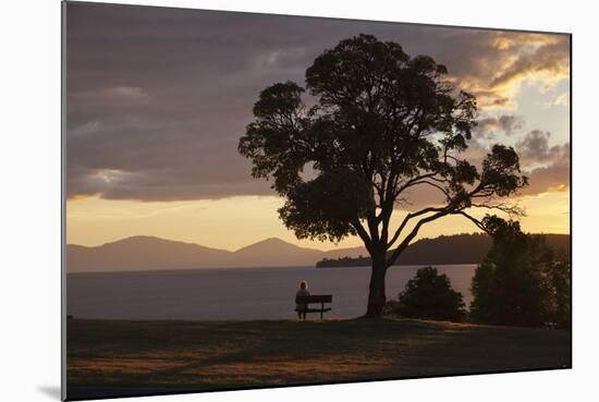 Bench and Tree Overlooking Lake Taupo, Taupo, North Island, New Zealand, Pacific-Stuart-Mounted Photographic Print