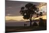 Bench and Tree Overlooking Lake Taupo, Taupo, North Island, New Zealand, Pacific-Stuart-Mounted Photographic Print