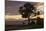 Bench and Tree Overlooking Lake Taupo, Taupo, North Island, New Zealand, Pacific-Stuart-Mounted Photographic Print