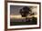 Bench and Tree Overlooking Lake Taupo, Taupo, North Island, New Zealand, Pacific-Stuart-Framed Photographic Print