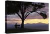 Bench and Tree Overlooking Lake Taupo, Taupo, North Island, New Zealand, Pacific-Stuart-Stretched Canvas