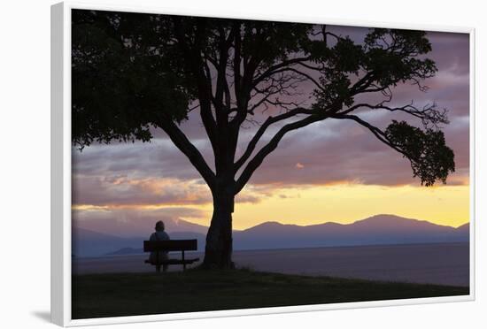 Bench and Tree Overlooking Lake Taupo, Taupo, North Island, New Zealand, Pacific-Stuart-Framed Photographic Print