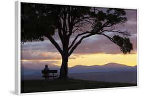 Bench and Tree Overlooking Lake Taupo, Taupo, North Island, New Zealand, Pacific-Stuart-Framed Photographic Print