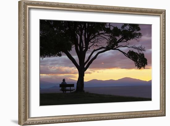 Bench and Tree Overlooking Lake Taupo, Taupo, North Island, New Zealand, Pacific-Stuart-Framed Photographic Print