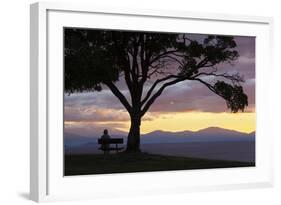 Bench and Tree Overlooking Lake Taupo, Taupo, North Island, New Zealand, Pacific-Stuart-Framed Photographic Print