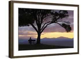 Bench and Tree Overlooking Lake Taupo, Taupo, North Island, New Zealand, Pacific-Stuart-Framed Photographic Print