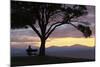 Bench and Tree Overlooking Lake Taupo, Taupo, North Island, New Zealand, Pacific-Stuart-Mounted Photographic Print