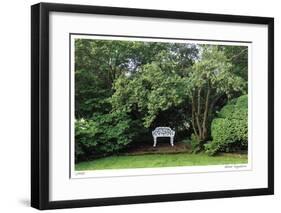 Bench and Tree-Stacy Bass-Framed Giclee Print