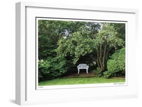 Bench and Tree-Stacy Bass-Framed Giclee Print