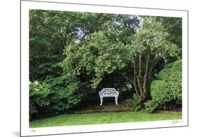 Bench and Tree-Stacy Bass-Mounted Limited Edition