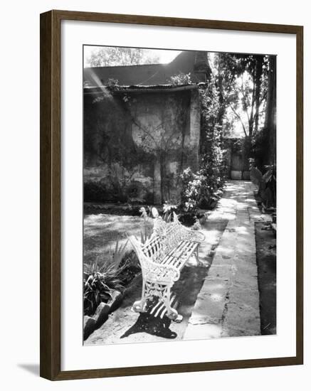 Bench at the Museo Leon Trotsky, Coyoacan, Mexico-Walter Bibikow-Framed Photographic Print