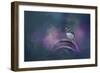 Bench Break-Jai Johnson-Framed Giclee Print