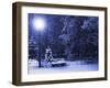 Bench, Christmastree and Lantern-Adam1975-Framed Photographic Print