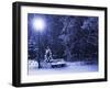 Bench, Christmastree and Lantern-Adam1975-Framed Photographic Print