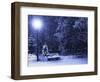 Bench, Christmastree and Lantern-Adam1975-Framed Photographic Print