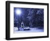 Bench, Christmastree and Lantern-Adam1975-Framed Photographic Print