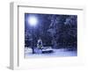 Bench, Christmastree and Lantern-Adam1975-Framed Photographic Print